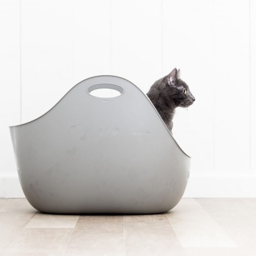 LL_ls_6 — kopia.jpg