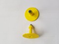 20231012_125626.jpg