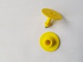 20231012_125744.jpg